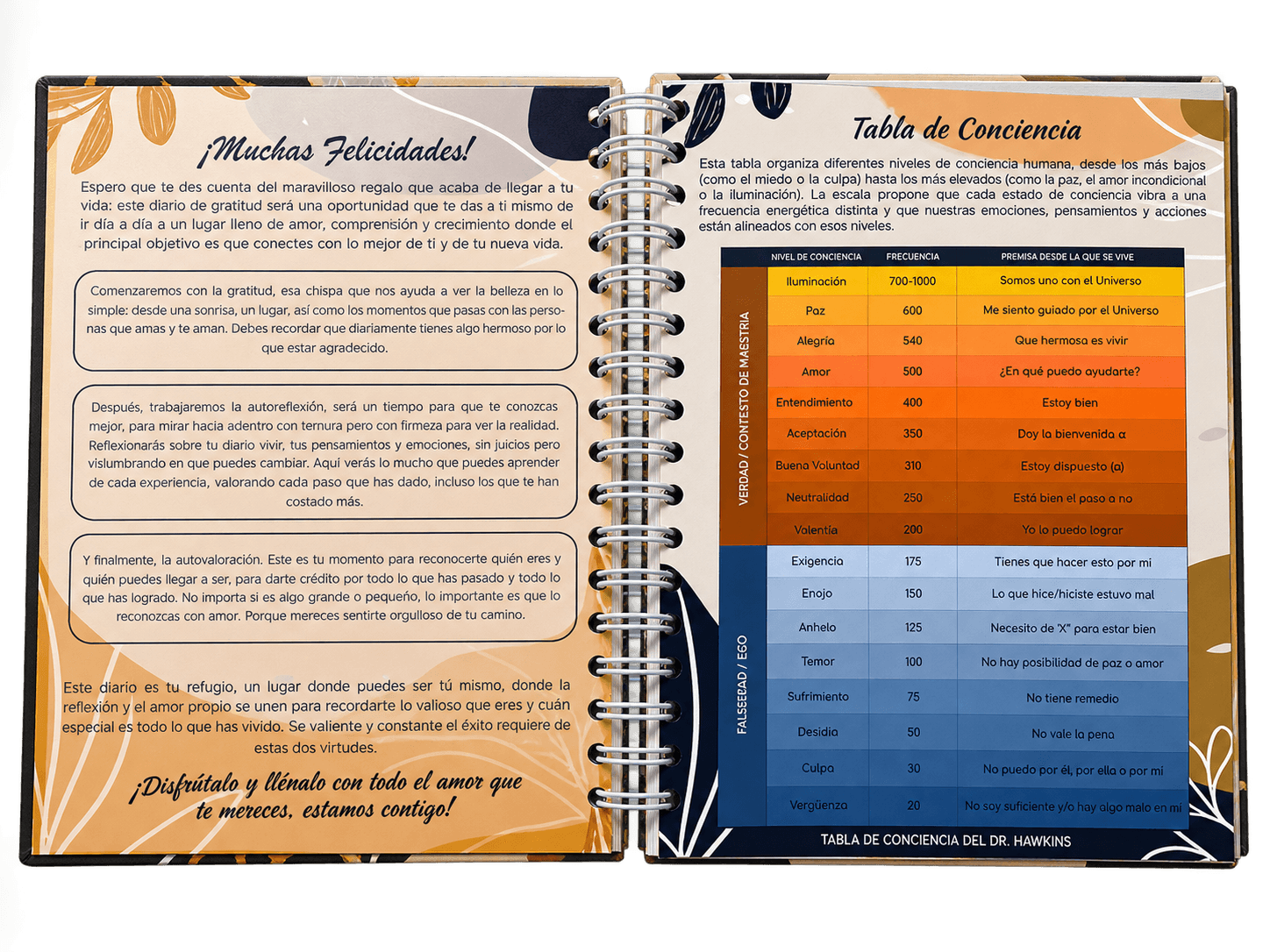 Introductory pages